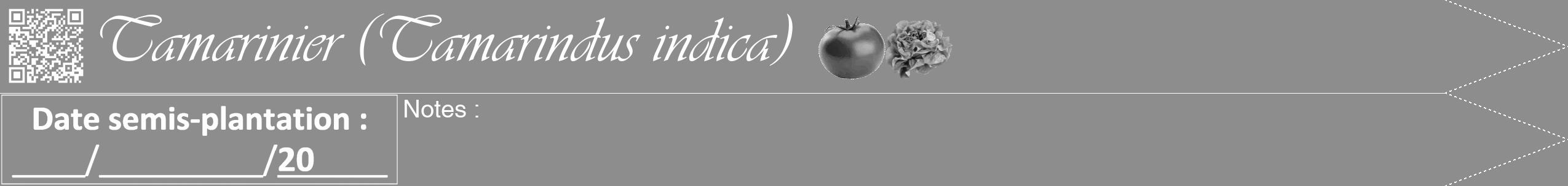 Étiquette de : Tamarindus indica - format b - style blanche2viv avec qrcode et comestibilité simplifiée