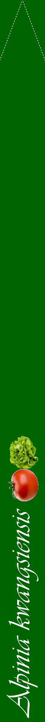 Étiquette de : Alpinia kwangsiensis - format b - style blanche8viv avec comestibilité simplifiée