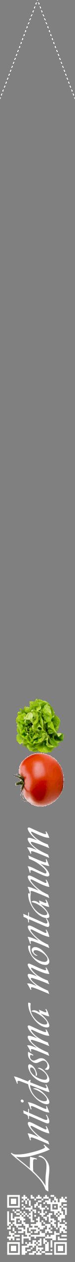 Étiquette de : Antidesma montanum - format b - style blanche57viv avec qrcode et comestibilité simplifiée