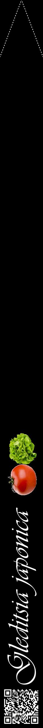 Étiquette de : Gleditsia japonica - format b - style blanche59viv avec qrcode et comestibilité simplifiée