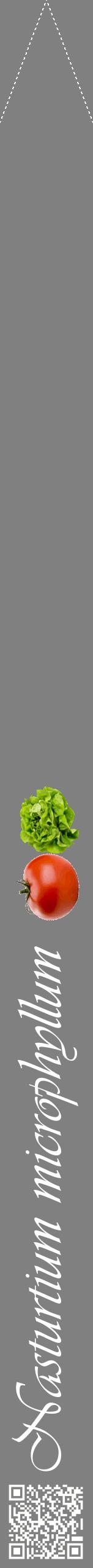 Étiquette de : Nasturtium microphyllum - format b - style blanche57viv avec qrcode et comestibilité simplifiée