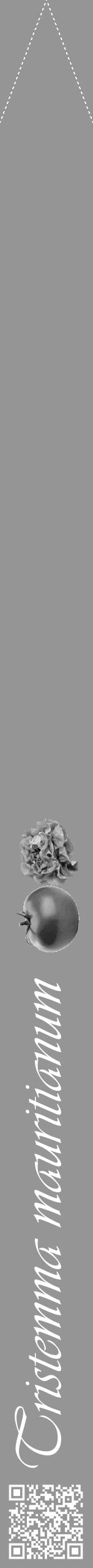 Étiquette de : Tristemma mauritianum - format b - style blanche16viv avec qrcode et comestibilité simplifiée - position verticale