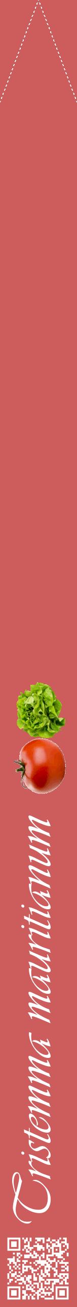 Étiquette de : Tristemma mauritianum - format b - style blanche35viv avec qrcode et comestibilité simplifiée