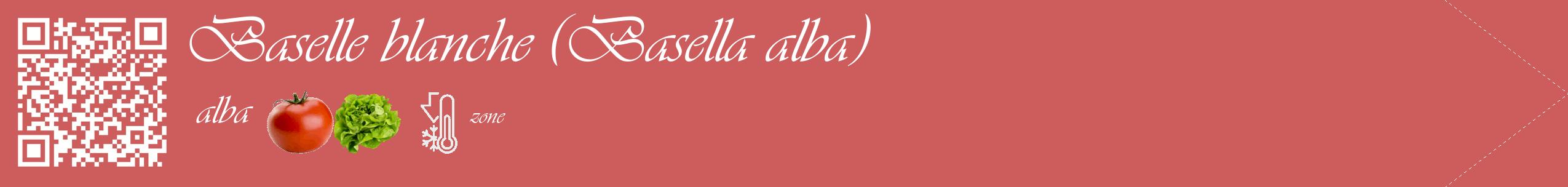 Étiquette de : Basella alba alba - format c - style blanche35_simple_simpleviv avec qrcode et comestibilité simplifiée