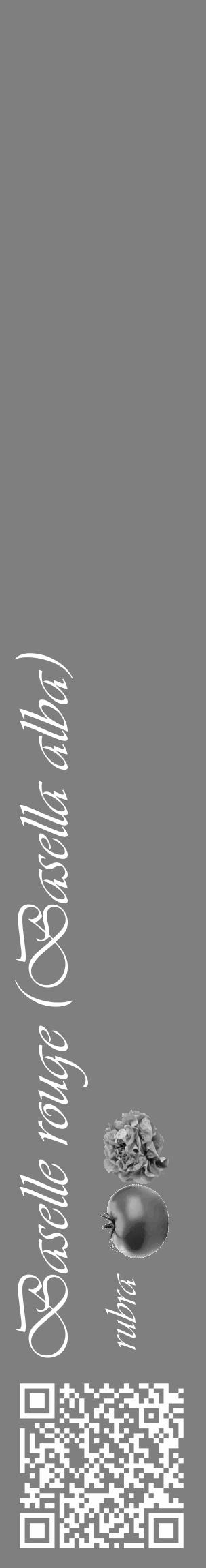 Étiquette de : Basella alba rubra - format c - style blanche57_basique_basiqueviv avec qrcode et comestibilité simplifiée - position verticale