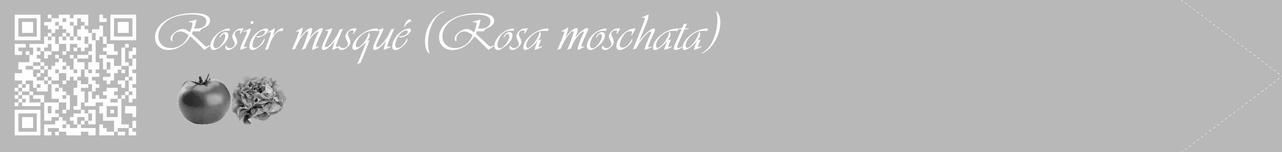 Étiquette de : Rosa moschata - format c - style blanche39_simple_simpleviv avec qrcode et comestibilité simplifiée