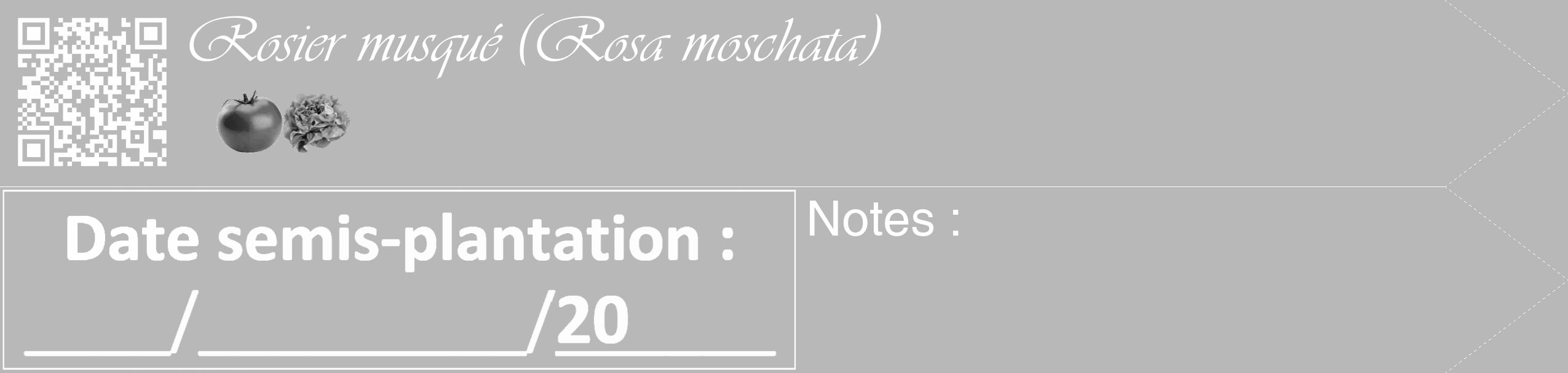 Étiquette de : Rosa moschata - format c - style blanche39_simple_simpleviv avec qrcode et comestibilité simplifiée