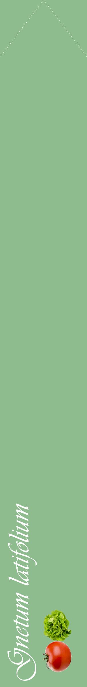 Étiquette de : Gnetum latifolium - format c - style blanche13_simpleviv avec comestibilité simplifiée