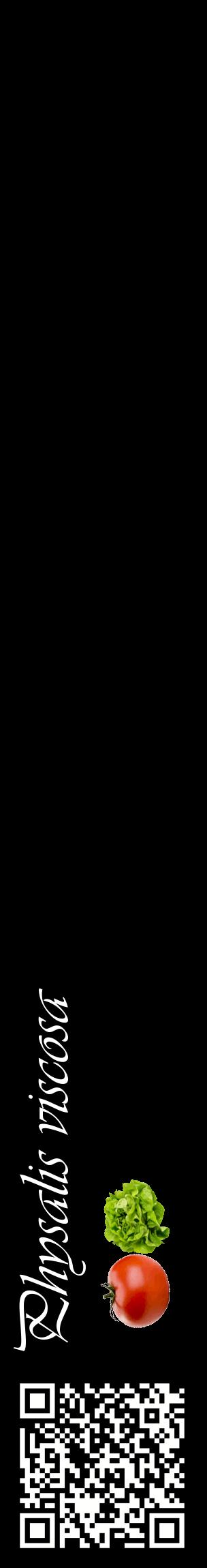 Étiquette de : Physalis viscosa - format c - style blanche59_basiqueviv avec qrcode et comestibilité simplifiée