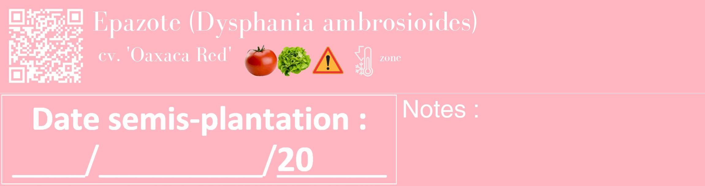 Étiquette de : Dysphania ambrosioides cv. 'Oaxaca Red' - format c - style blanche41_basique_basiquebod avec qrcode et comestibilité simplifiée