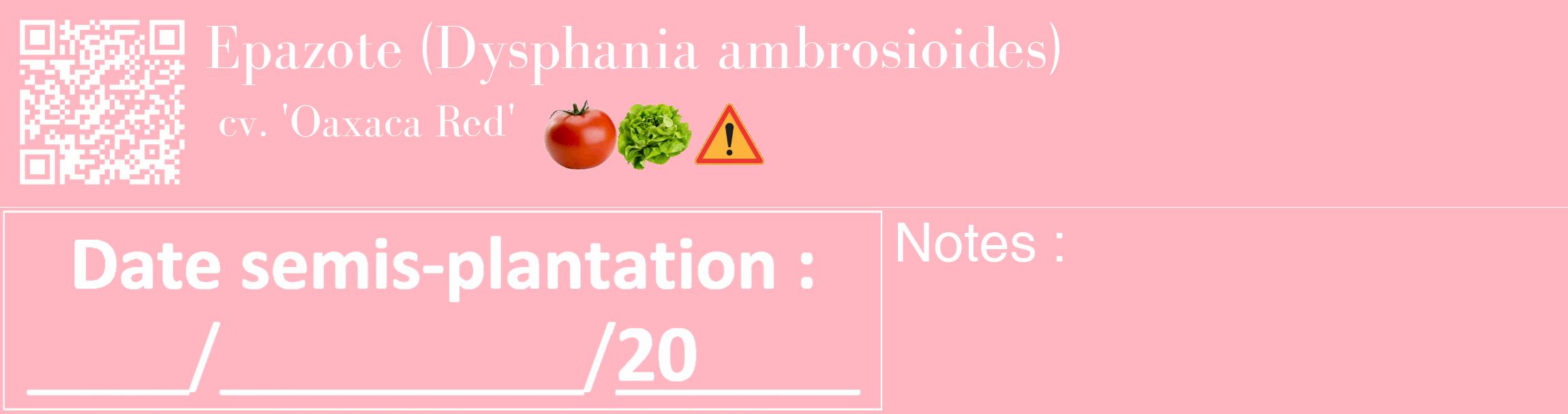 Étiquette de : Dysphania ambrosioides cv. 'Oaxaca Red' - format c - style blanche41_basique_basiquebod avec qrcode et comestibilité simplifiée