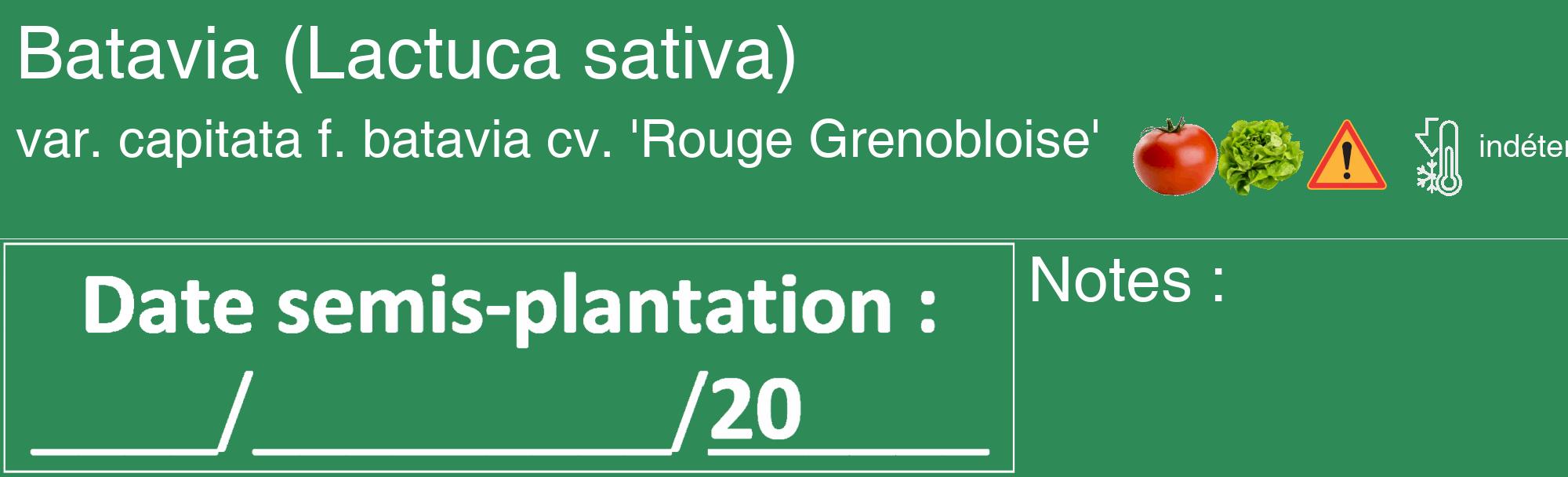 Étiquette de : Lactuca sativa var. capitata f. batavia cv. 'Rouge Grenobloise' - format c - style blanche11_basique_basiquehel avec comestibilité simplifiée