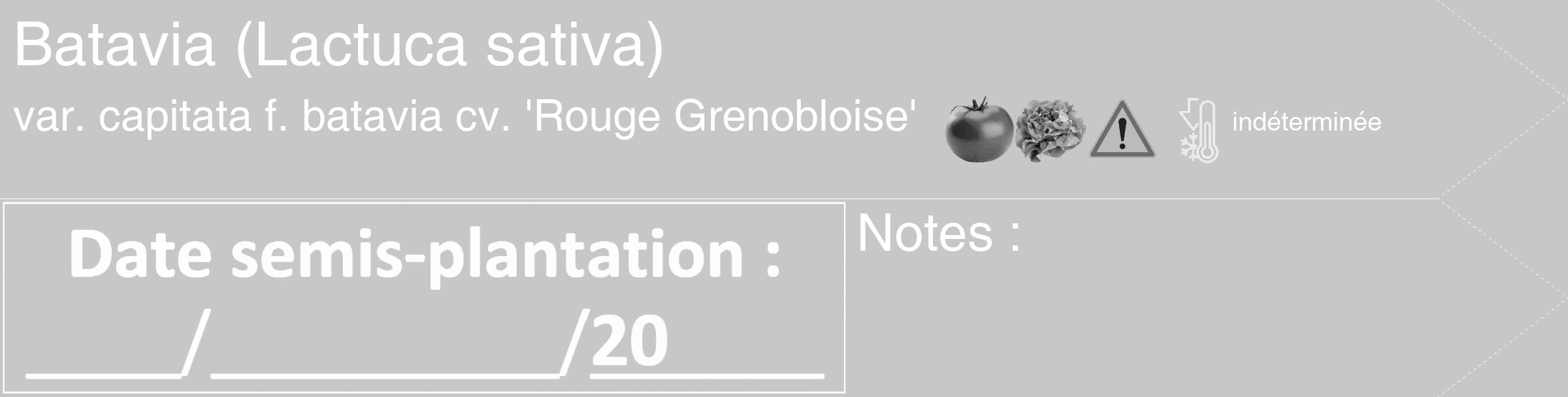 Étiquette de : Lactuca sativa var. capitata f. batavia cv. 'Rouge Grenobloise' - format c - style blanche15_simple_simplehel avec comestibilité simplifiée