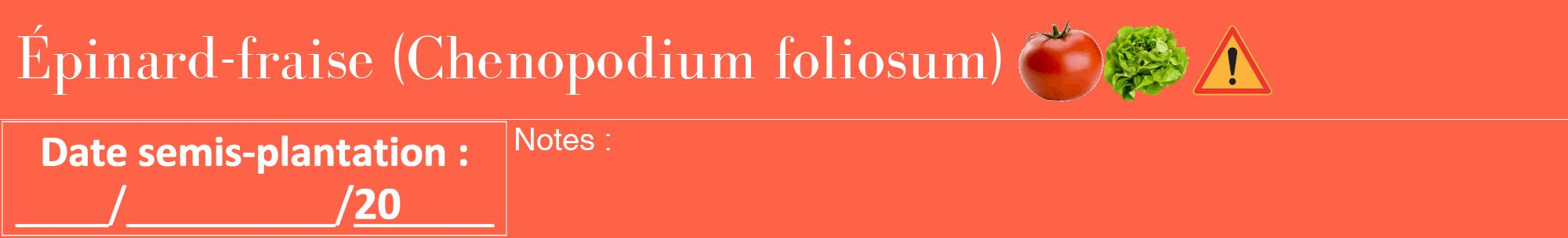 Étiquette de : Chenopodium foliosum - format a - style blanche25bod avec comestibilité simplifiée