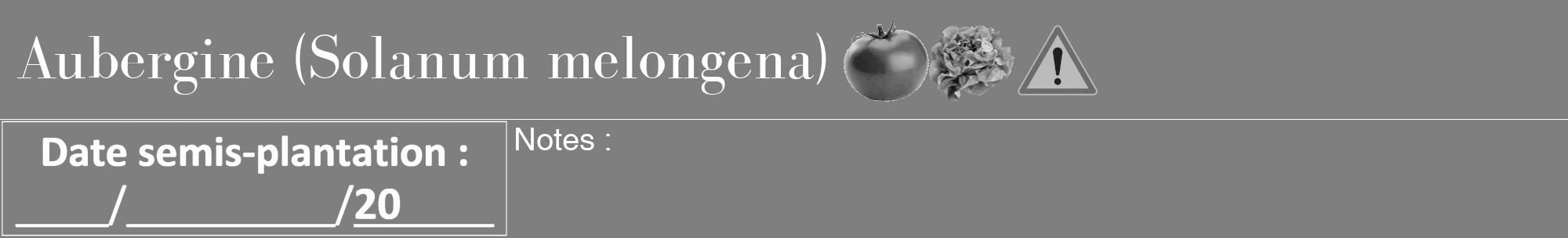 Étiquette de : Solanum melongena - format a - style blanche31basiquebod avec comestibilité simplifiée