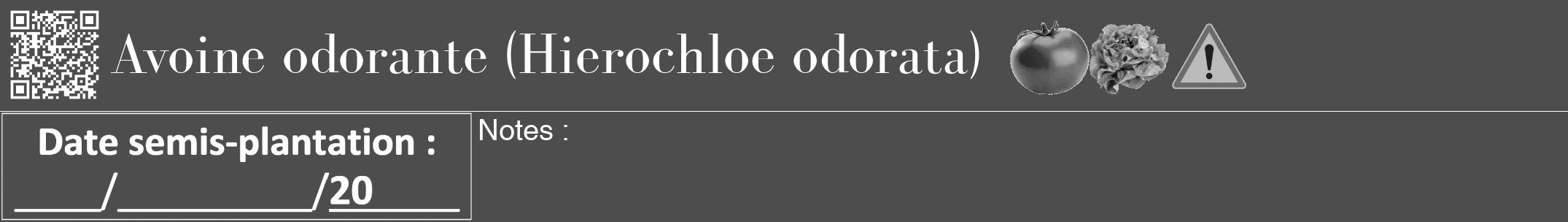 Étiquette de : Hierochloe odorata - format a - style blanche28bod avec qrcode et comestibilité simplifiée