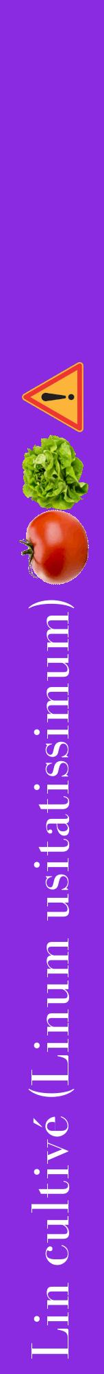 Étiquette de : Linum usitatissimum - format a - style blanche49bod avec comestibilité simplifiée