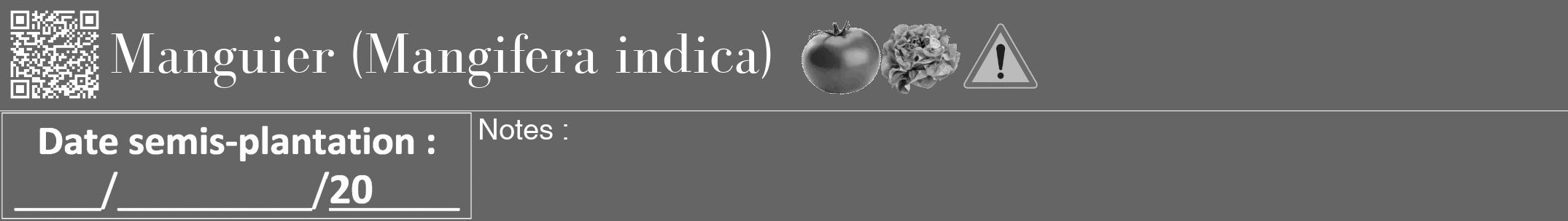 Étiquette de : Mangifera indica - format a - style blanche32bod avec qrcode et comestibilité simplifiée