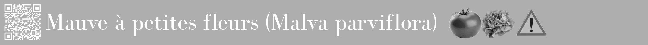 Étiquette de : Malva parviflora - format a - style blanche53bod avec qrcode et comestibilité simplifiée