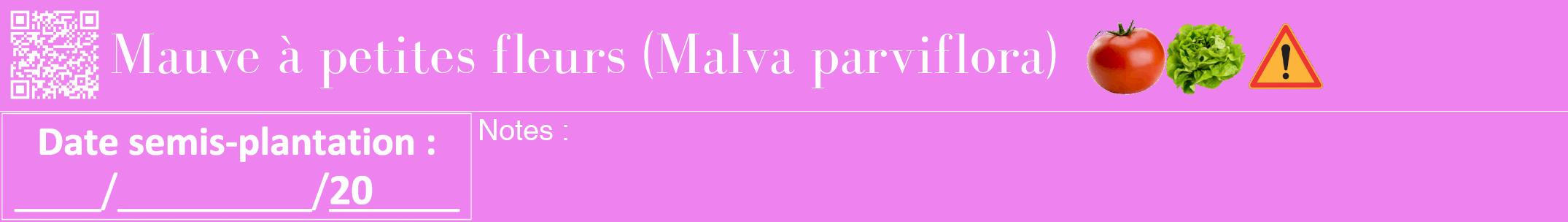 Étiquette de : Malva parviflora - format a - style blanche53bod avec qrcode et comestibilité simplifiée