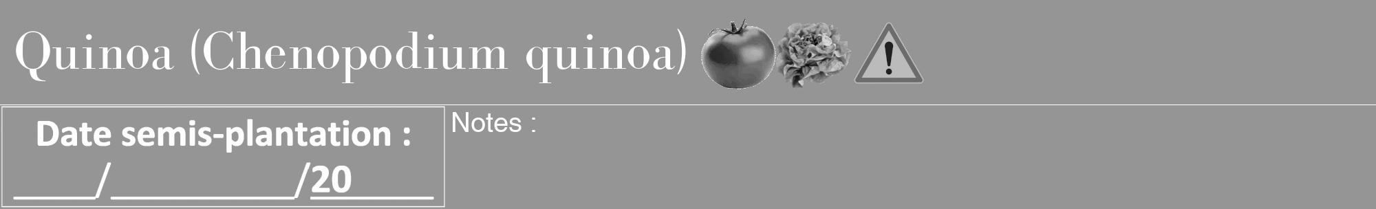 Étiquette de : Chenopodium quinoa - format a - style blanche16bod avec comestibilité simplifiée
