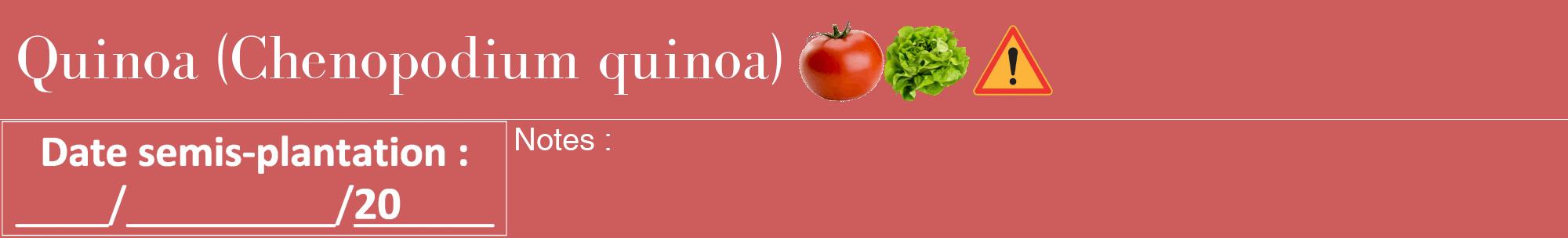 Étiquette de : Chenopodium quinoa - format a - style blanche35bod avec comestibilité simplifiée