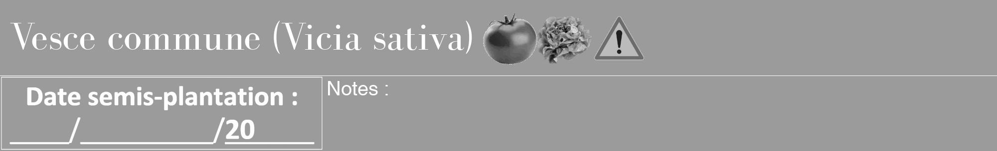 Étiquette de : Vicia sativa - format a - style blanche52bod avec comestibilité simplifiée