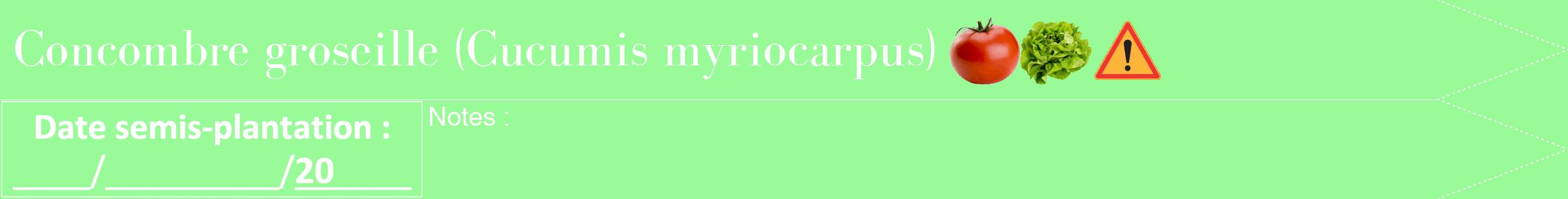 Étiquette de : Cucumis myriocarpus - format b - style blanche14bod avec comestibilité simplifiée