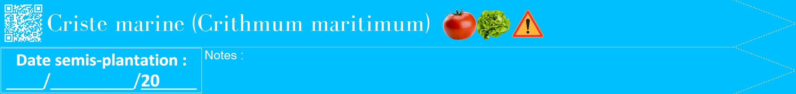 Étiquette de : Crithmum maritimum - format b - style blanche2simplebod avec qrcode et comestibilité simplifiée
