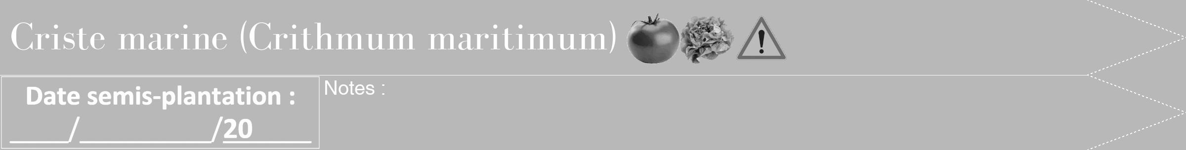 Étiquette de : Crithmum maritimum - format b - style blanche39bod avec comestibilité simplifiée