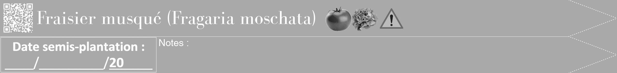 Étiquette de : Fragaria moschata - format b - style blanche13simplebod avec qrcode et comestibilité simplifiée