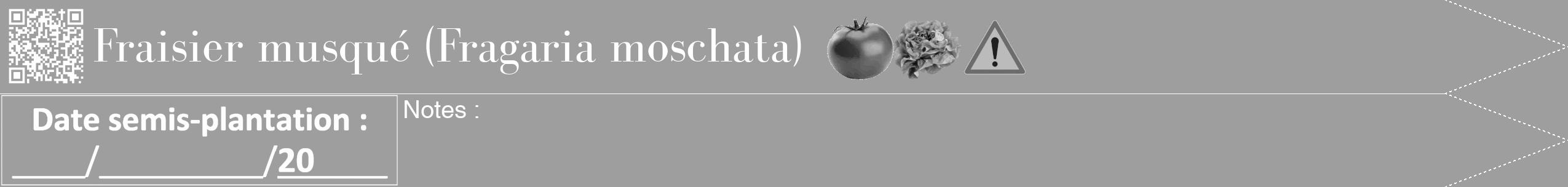 Étiquette de : Fragaria moschata - format b - style blanche23bod avec qrcode et comestibilité simplifiée