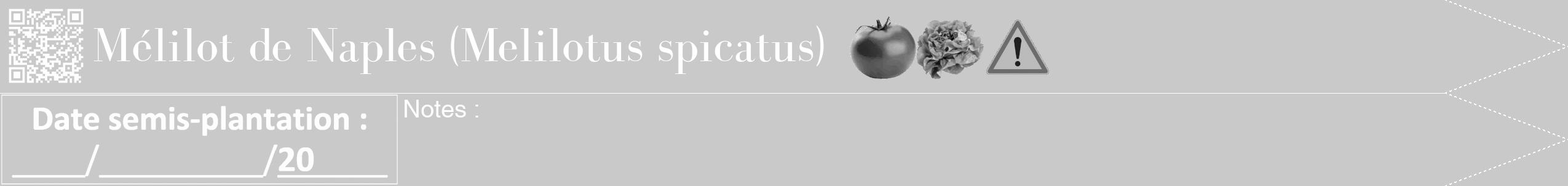Étiquette de : Melilotus spicatus - format b - style blanche54bod avec qrcode et comestibilité simplifiée