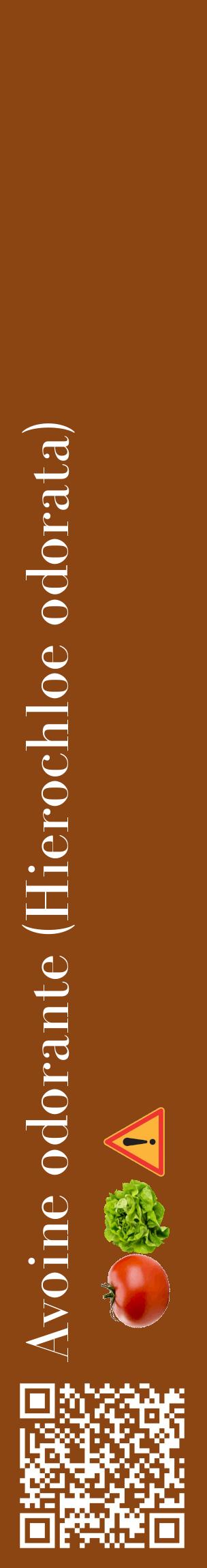 Étiquette de : Hierochloe odorata - format c - style blanche30_basiquebod avec qrcode et comestibilité simplifiée