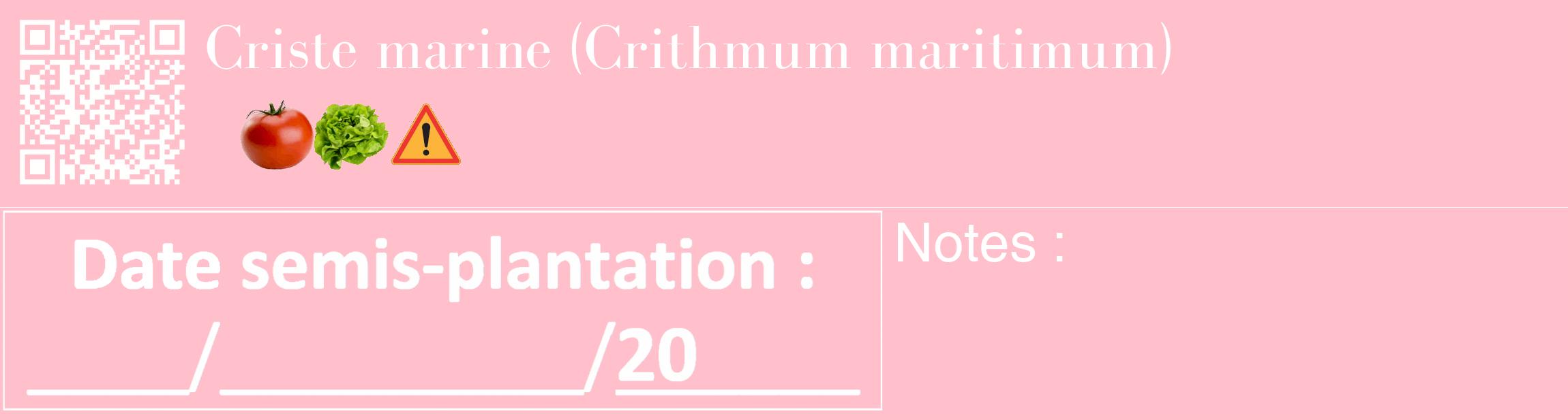 Étiquette de : Crithmum maritimum - format c - style blanche40_basique_basiquebod avec qrcode et comestibilité simplifiée