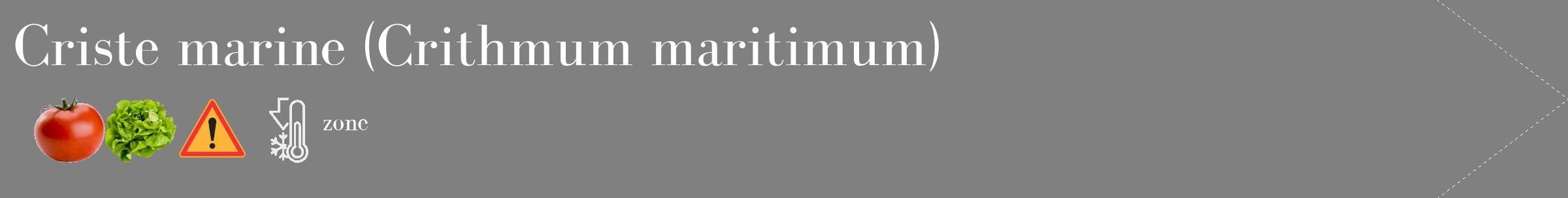 Étiquette de : Crithmum maritimum - format c - style blanche57_simple_simplebod avec comestibilité simplifiée