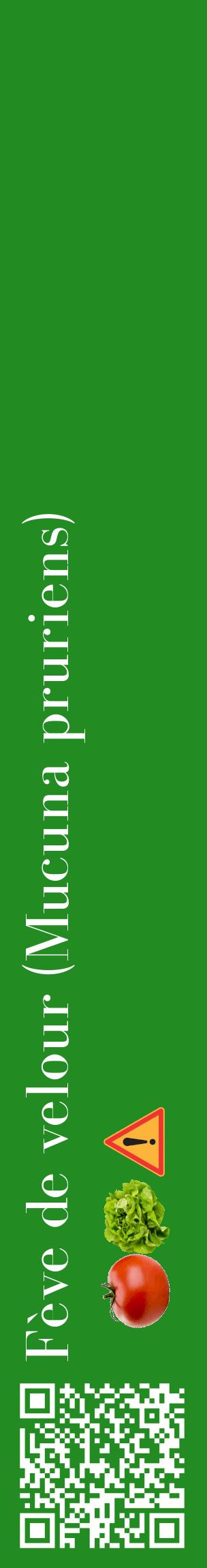 Étiquette de : Mucuna pruriens - format c - style blanche10_basiquebod avec qrcode et comestibilité simplifiée