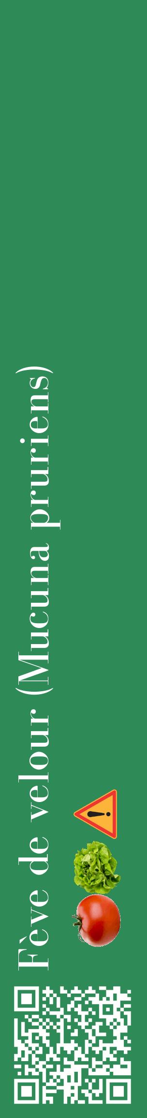Étiquette de : Mucuna pruriens - format c - style blanche11_basiquebod avec qrcode et comestibilité simplifiée