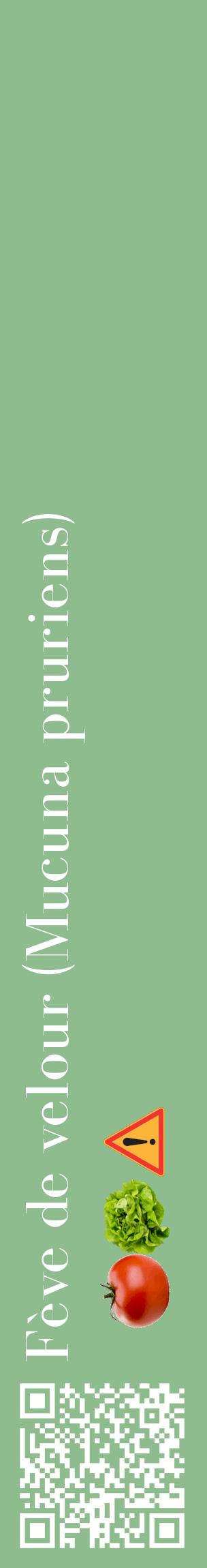 Étiquette de : Mucuna pruriens - format c - style blanche13_basiquebod avec qrcode et comestibilité simplifiée