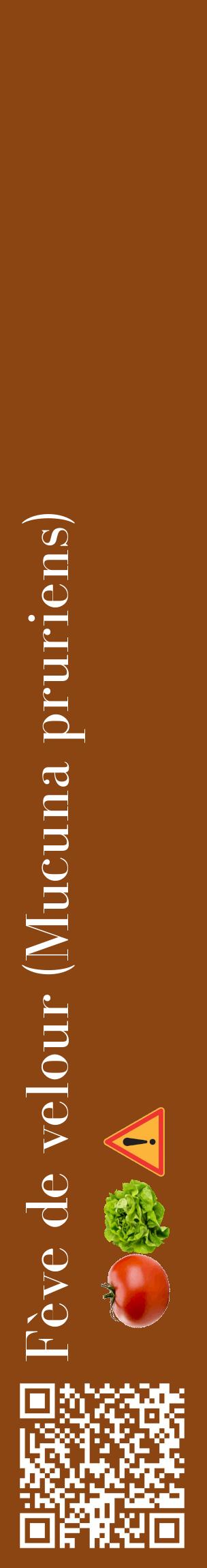 Étiquette de : Mucuna pruriens - format c - style blanche30_basiquebod avec qrcode et comestibilité simplifiée