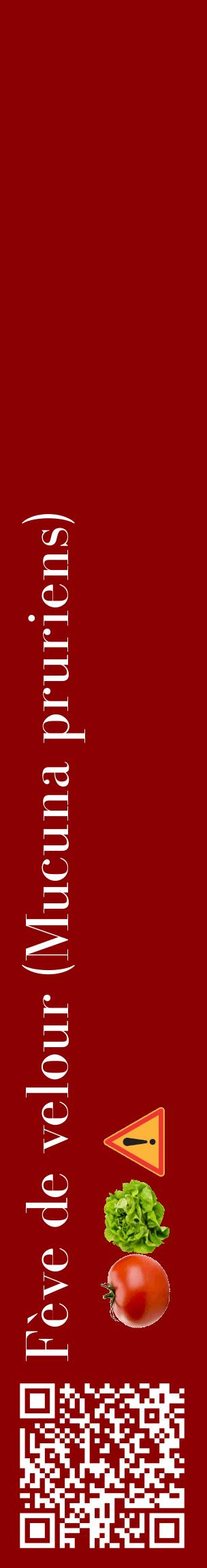 Étiquette de : Mucuna pruriens - format c - style blanche34_basiquebod avec qrcode et comestibilité simplifiée