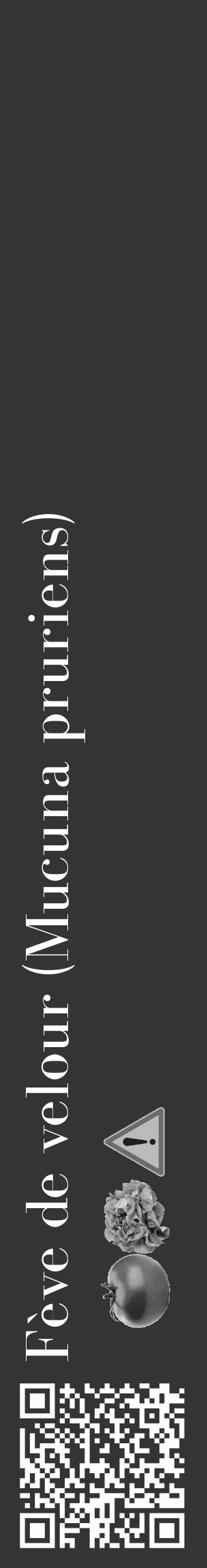 Étiquette de : Mucuna pruriens - format c - style blanche46_basique_basiquebod avec qrcode et comestibilité simplifiée - position verticale