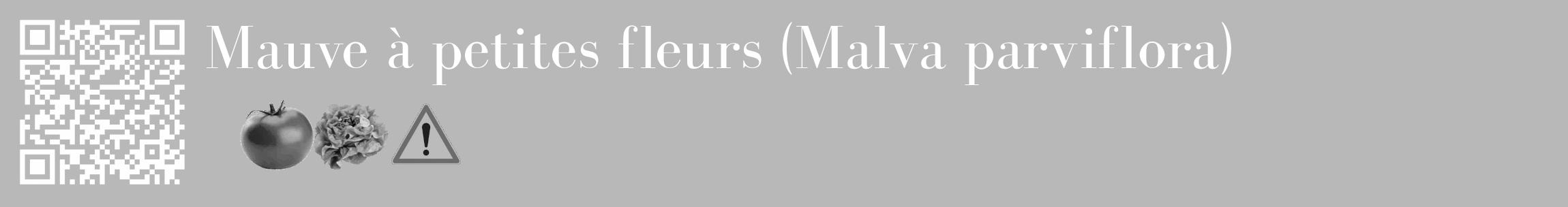 Étiquette de : Malva parviflora - format c - style blanche39_basique_basiquebod avec qrcode et comestibilité simplifiée