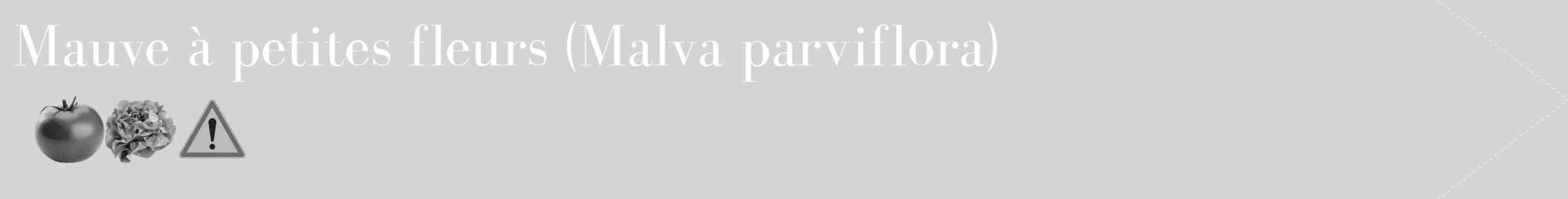 Étiquette de : Malva parviflora - format c - style blanche40_simple_simplebod avec comestibilité simplifiée