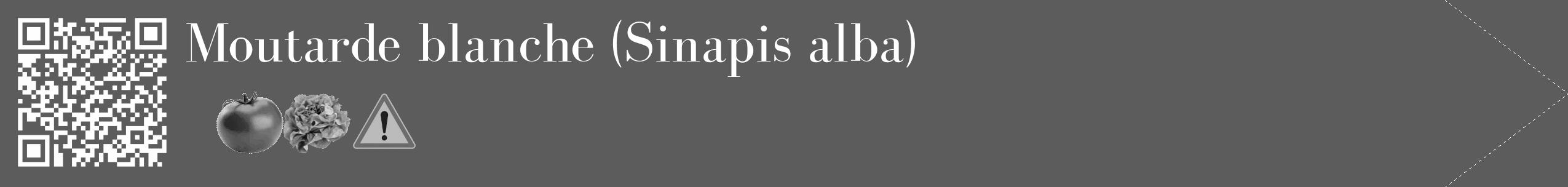 Étiquette de : Sinapis alba - format c - style blanche49_simple_simplebod avec qrcode et comestibilité simplifiée