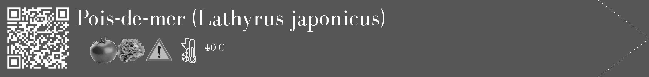Étiquette de : Lathyrus japonicus - format c - style blanche45_simple_simplebod avec qrcode et comestibilité simplifiée