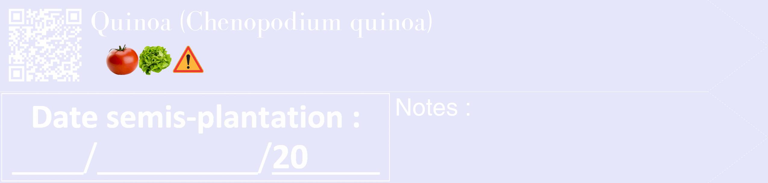 Étiquette de : Chenopodium quinoa - format c - style blanche55_simple_simplebod avec qrcode et comestibilité simplifiée