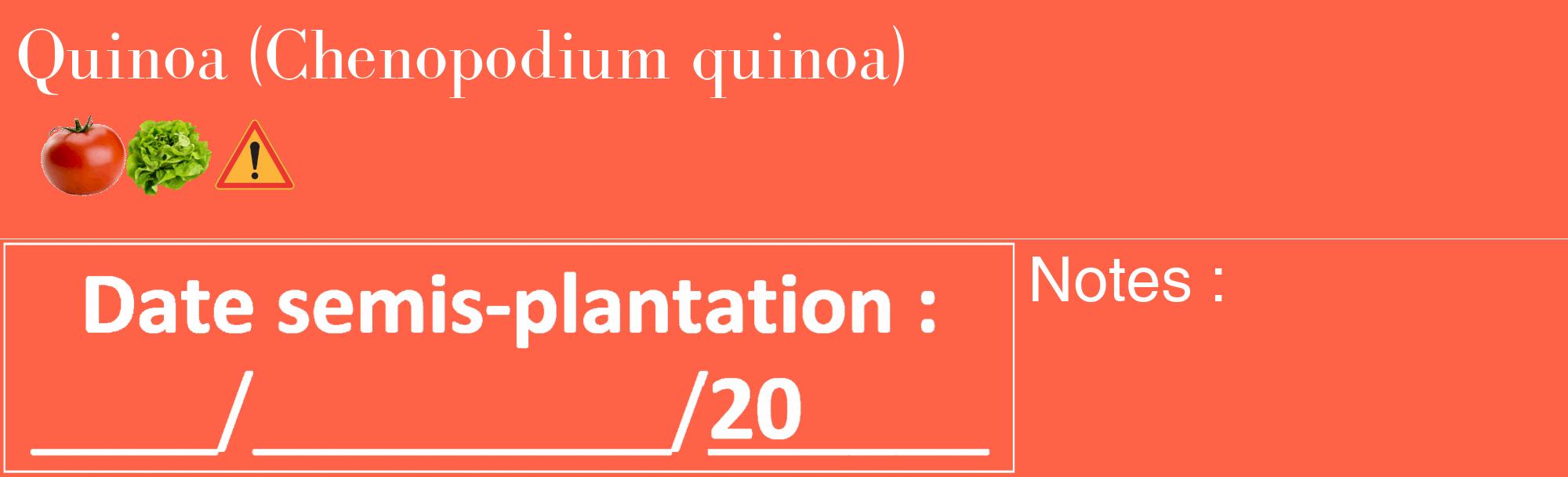 Étiquette de : Chenopodium quinoa - format c - style blanche25_basique_basiquebod avec comestibilité simplifiée