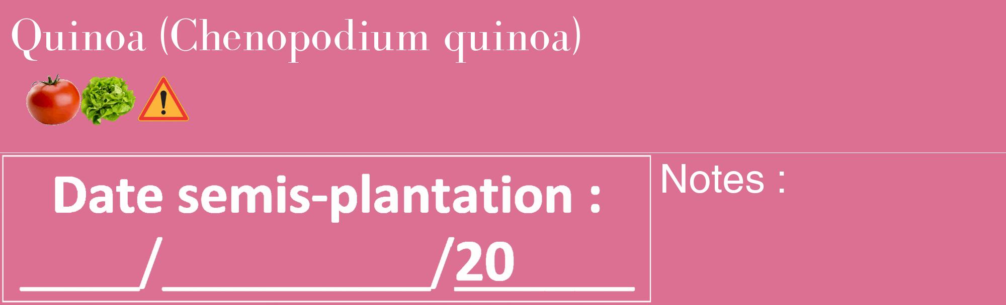 Étiquette de : Chenopodium quinoa - format c - style blanche44_basique_basiquebod avec comestibilité simplifiée