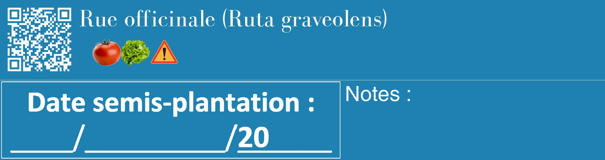 Étiquette de : Ruta graveolens - format c - style blanche6_basique_basiquebod avec qrcode et comestibilité simplifiée